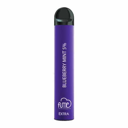 Shop Blueberry Mint Fume Extra in australian
