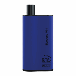 Shop Blueberry Mint Fume Infinity in australian