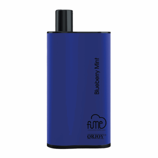 Shop Blueberry Mint Fume Infinity in australian