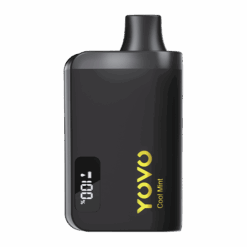 Shop Cool Mint YOVO JB8000 Black Golden Edition in australian