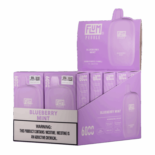 Shop Blueberry Mint FLUM Pebble in australian