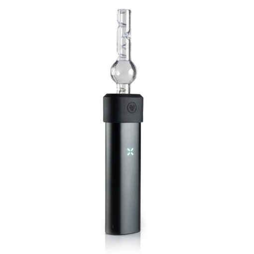 Shop POTV Globe Glass in australian