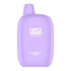 Shop Blueberry Mint FLUM Pebble in australian