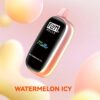 Watermelon Icy