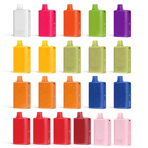 Shop HorizonTech Binaries Cabin Disposable Vape (5%, 10,000 Puff) in australian
