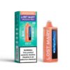 Shop Lost Mary MO20000 Pro Disposable Vape (5%, 20000 Puffs) in australian