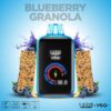Blueberry Granola - Yogi