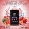 Strawberry Watermelon Ice - Yogi
