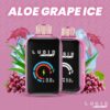 Aloe Grape Ice